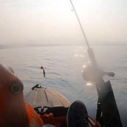 カヤックコラボｗオジサンにホウボウｗガラカブの根魚